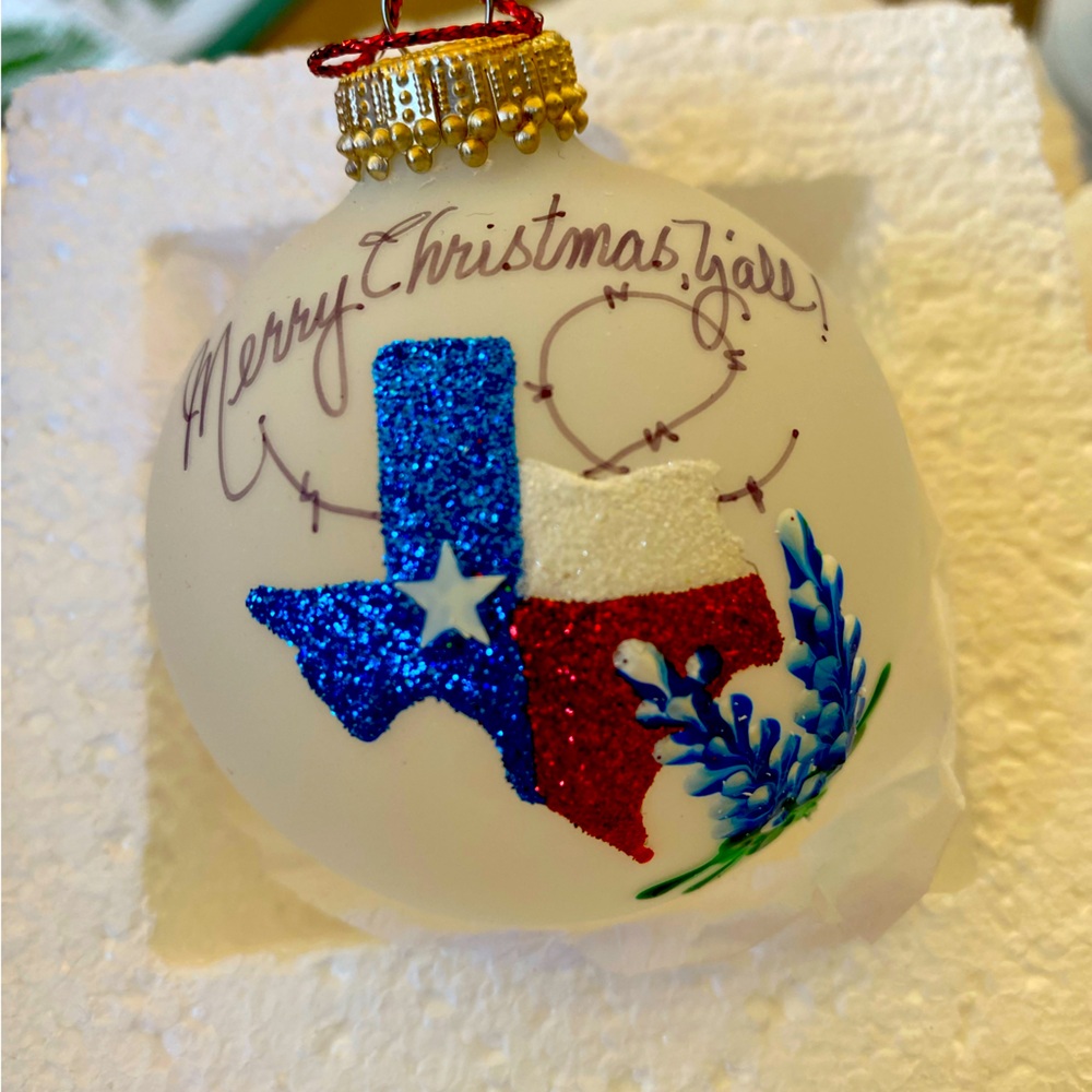 Hand painted frosted glass ornament with the state of Texas and bluebonnets.